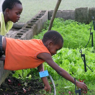 Need For Volunteerism In The Third World [And How Pakistan And Africa Demonstrate It]