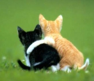 The Importance And Power Of Friendship
