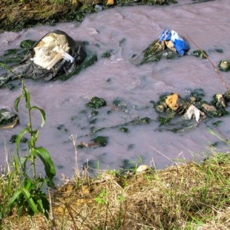 Stop Pollution In Balaclava [CITIZEN ACTION STORY]
