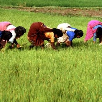 Industrialization vs. Agriculture-The Age-old Debate