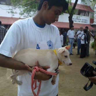 This Summer, Work For Change, Work With An NGO, Here’s Why