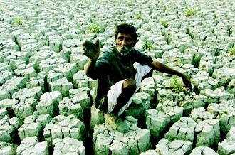 Every Thirty Minutes, A Farmer Commits Suicide