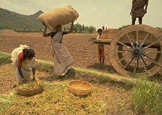 Agrarian Crisis & Food Insecurity: Feeding Off Each Other