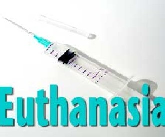 Euthanasia: Who Makes the Decision?
