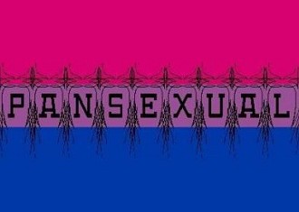 Pansexuality: A Tag For The Tagless