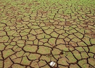 Climate Change And Agriculture in India: Need For Mitigation and Adaptation [RESEARCH]