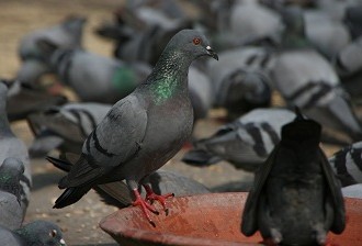 The Spirit of Delhi: Tales Untold