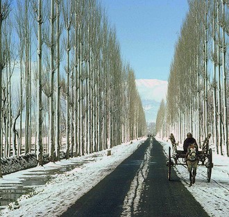 Kashmir and Me: A Conflicted Identity