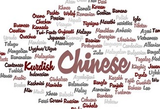 Foreign Languages as an Alternative Career Option