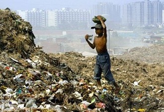 Sanitation in India Is A Joke