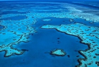 Indiscriminate Economic Activity Threatens Future of the Great Barrier Reef