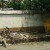 The Need To Have A Proper Garbage Disposal System- Woe Of A Common Man The Need To Have A Proper Garbage Disposal System- Woe Of A Common Man