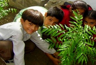 Is The Environmental Education Imparted By Schools Enough?