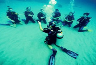 Earn Underwater: Scuba Diving As A Career