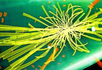 Understanding Higgs Boson In Simple Terms