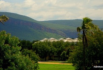 PIC OF THE WEEK: A View Of The Magical Tirupati Greens