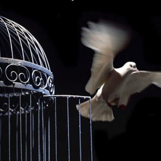 “I Was The Golden Bird”:  An Ode To Indian Freedom