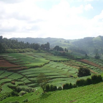 Feel The Sensuousness In Ooty’s Romantic Ambiance
