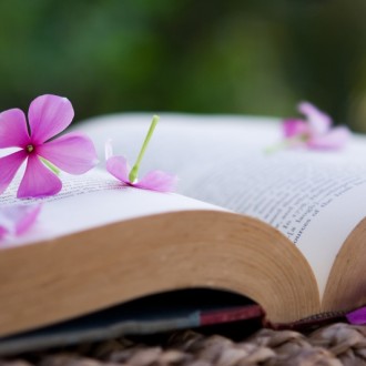 Surfacing By Margaret Atwood: Book Review