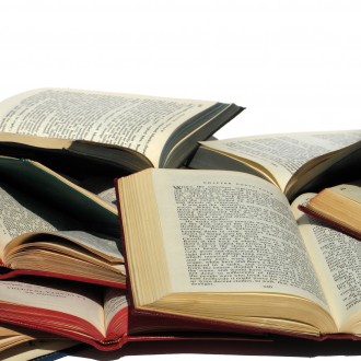 Indian Literature: What Do Our Words Say About Us?