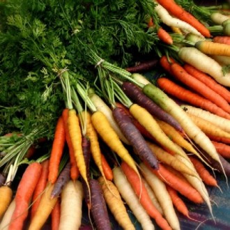 The Future Of Organic Farming In India: Is It Here To Stay?