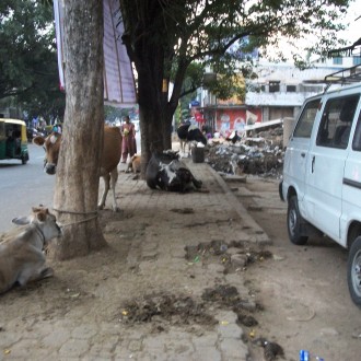 Be Careful Where Your Feet Tread: The Sad State Of Footpaths In Bangalore