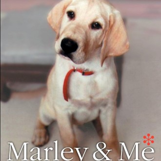 Marley & Me: The Many Forms Of Unconditional Love (A Memoir #Book Review)