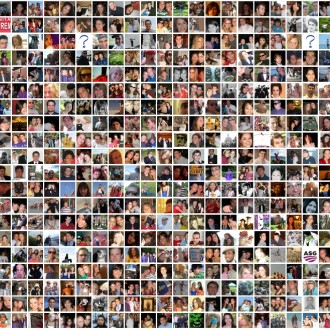 Which Shining Star Attracts You On The Social Network?
