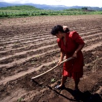 Crossing The Poverty Line: National Rural Livelihoods Mission And Rural Poor [Part-1]  