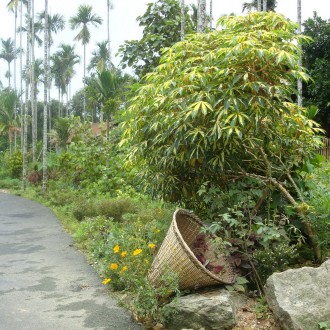 Can You Guess Which Is the Cleanest Village In Asia [Hint: Somewhere In India]
