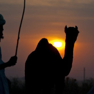 Of Sunsets And Camels: Let The Magic Of Pushkar Captivate You