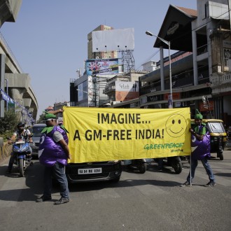 Imagine A Future Free Of Genetically Modified Food: Celebrating Bt Brinjal Moratorium