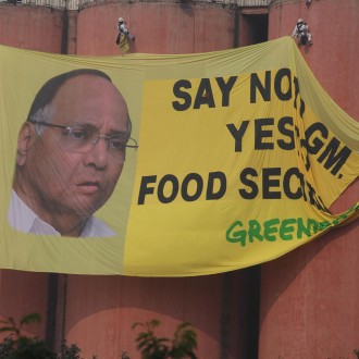 Greenpeace Challenges Sharad Pawar On Genetically Modified Crops