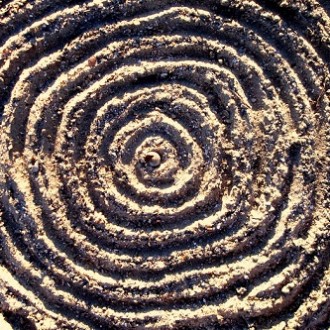 And The Circle Expands: Ripple Effect Of The 5th Space