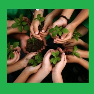 Do Books Teach How To Plant A Tree? Is Environmental Education Really Useful?