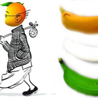 Are You Sure That India Is NOT A Banana Republic?