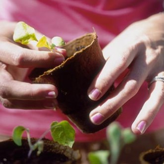 Breaking The Glass Ceiling: Five Female Environmentalists Of India