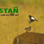 Forests Not Coal: Greenpeace In An Epic Battle To Save Forests From Coal