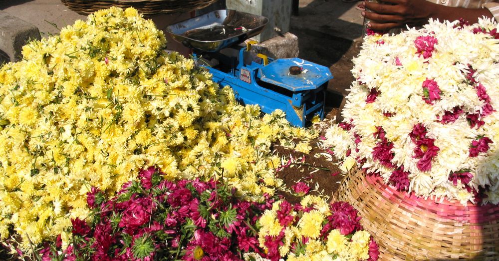 Of Keeping Kolkata’s Flowers And Livelihoods Alive